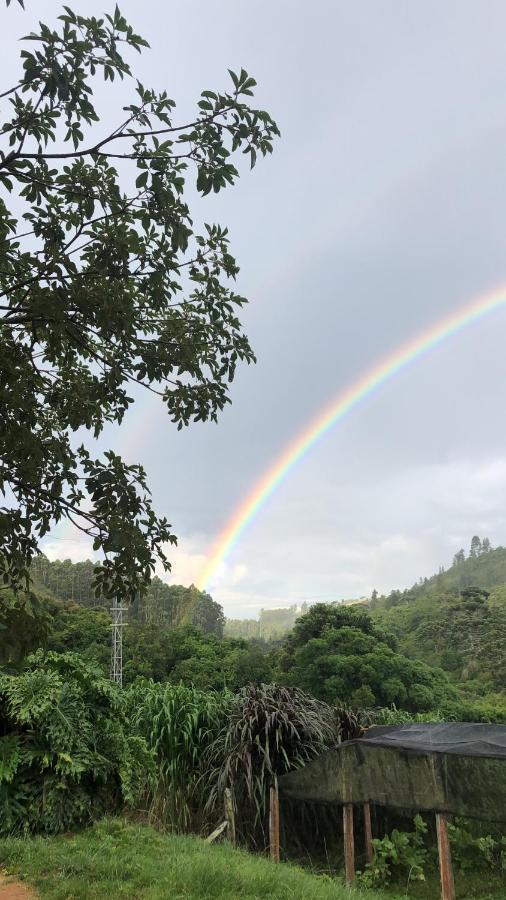 Pousada Pedra Da Mata Chales Na Montanha Munhoz 外观 照片