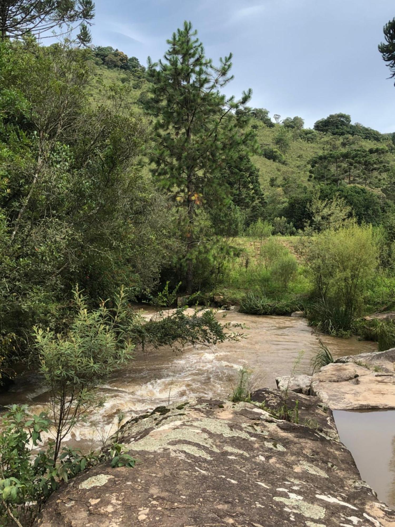 Pousada Pedra Da Mata Chales Na Montanha Munhoz 外观 照片